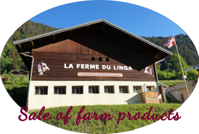 Welcome in Linga farm